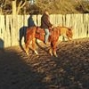 Profile Picture of Chuck Fraser (@chuck.fraser.733) on Facebook