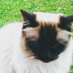 Profile Picture of Toby Perry (@toby.perry1) on Instagram