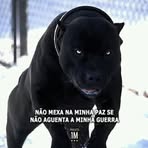 Profile Picture of Albert Silva (@albert.rogeri) on Facebook