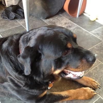 Profile Picture of Carl Stephen Neale (@carlneale1962) on Twitter