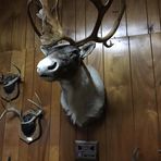 Profile Picture of Jeff Drumm (@jeff.drumm.75) on Facebook