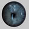 Profile Picture of Justin Mitchell (@dctr.cool) on Flickr