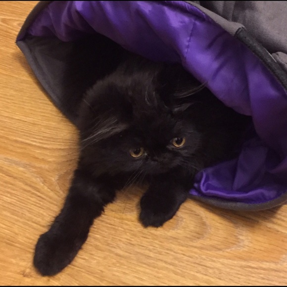 Profile Picture of Sahar Moghadam (@sahariiit) on Poshmark