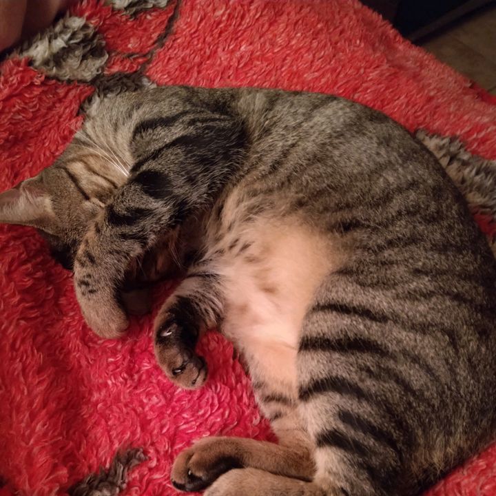 Profile Picture of Wilbert Pierre132 (@user24492970) on Tiktok