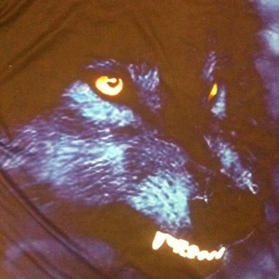 Profile Picture of Mike🐺Froehlich (@MikeFroehlich2) on Twitter