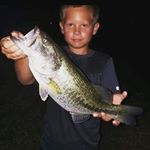 Profile Picture of adam casey (@bassmanpvpop) on Instagram