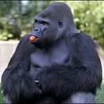 Profile Picture of Sean Cavanaugh (@cavanaugh_home) on Instagram