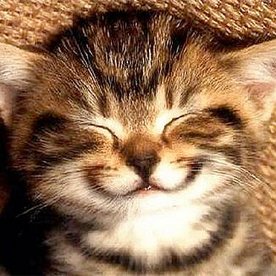 Profile Picture of Alex_Sender (@Alex_Sender) on Twitter