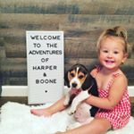 Profile Picture of Ashley Vanderpool (@adventures.of.harper.and.boone) on Instagram