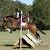Profile Picture of Carly Blank (@carlyblank22) on Pinterest