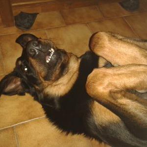 Profile Picture of Lilian Richard (@lilianr1810) on Twitter