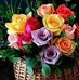 Profile Picture of Sholeh Samadpour (@sholeh.samadpour.3) on Facebook