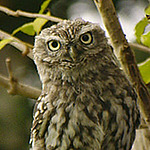 Profile Picture of Stuart Morgan (@_stuartm) on Flickr