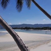 Profile Picture of Dave Griffiths (@dave-griffiths-20) on Quora