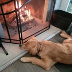 Profile Picture of Brian Hanline (@PARABOY2005) on Facebook