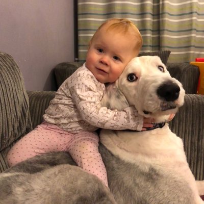 Profile Picture of James Hannam (@james_spannam) on Twitter