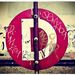 Profile Picture of Dianne McDermott-Crampton (@dmcd74) on Pinterest
