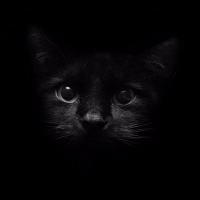 Profile Picture of Jeremy Ulloa (@jeremy7ulloa1) on Twitter