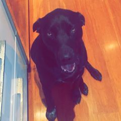 Profile Picture of Hugo Schwarz (@hugoschwarz4) on Tiktok