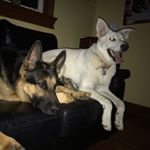 Profile Picture of Joseph Novello (@novellojoseph) on Instagram