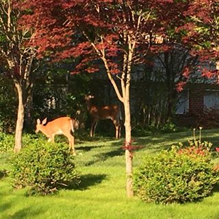 Chengbo Zhou - Facebook Profile Picture of Chengbo Zhou (@chengbo.zhou) on Facebook