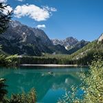 Profile Picture of Melissa Brown (@charleshulse01) on Instagram