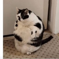 Profile Picture of Austin Ware (@austin-ware-15) on Quora