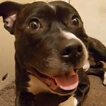 Profile Picture of Joseph Doolan (@doolanjoseph) on Instagram