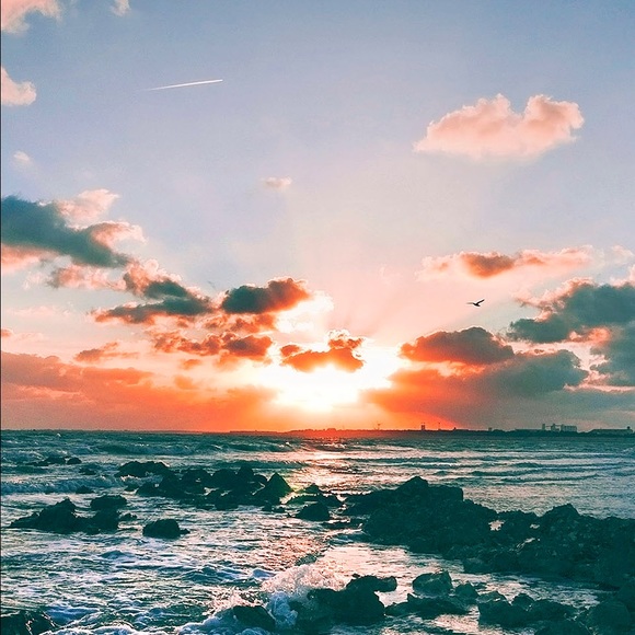 Profile Picture of Amy Padron (@amyfashion22) on Poshmark