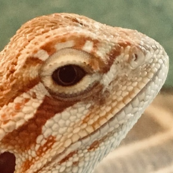 Profile Picture of Christian Marchant (@cbmarchant05) on Poshmark