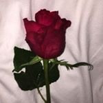 Profile Picture of Giselle Guzman (@giselle_aesthetics_forever) on Instagram