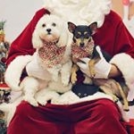 Profile Picture of Lulu And Peggy Leonard (@littleluluandpeggysue) on Instagram