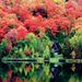 Profile Picture of Maureen Quirk (@mquirk26) on Pinterest