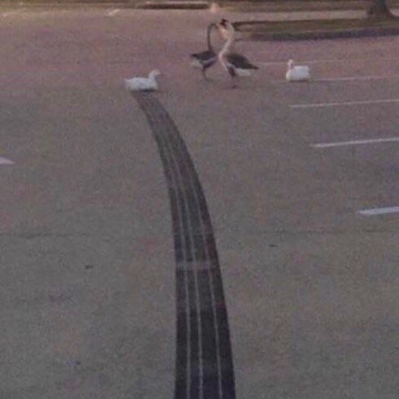 Chris Donoghue - Poshmark Profile Picture of Chris Donoghue (@donoghuetrio) on Poshmark