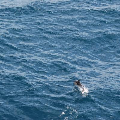 Profile Picture of James Meager (@meagerjames) on Twitter