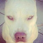Profile Picture of Ricardo Jese Roldan Jimenez (@dradeksito.roldanjimenez) on Instagram