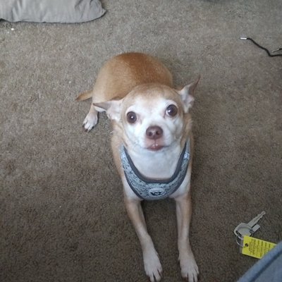 Profile Picture of Alex Nickell (@Alexnickell5) on Twitter