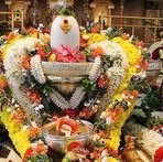 Profile Picture of Beest Brock (@Beest-Brock) on Facebook