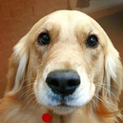 Profile Picture of ♥. ♥ TU & YO (@gutierrezWen) on Twitter