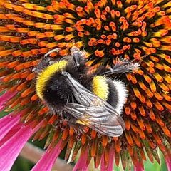 Profile Picture of Mandy Over (@mandyover3) on Tiktok