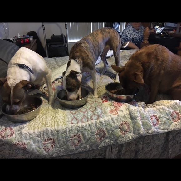 Profile Picture of Brooke Foust (@bfoust14) on Poshmark