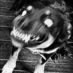 Profile Picture of Brian Bridwell (@Brian-Bridwell) on Facebook