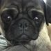 Profile Picture of Carlos Resendiz (@carlos.resendiz.31508076) on Facebook