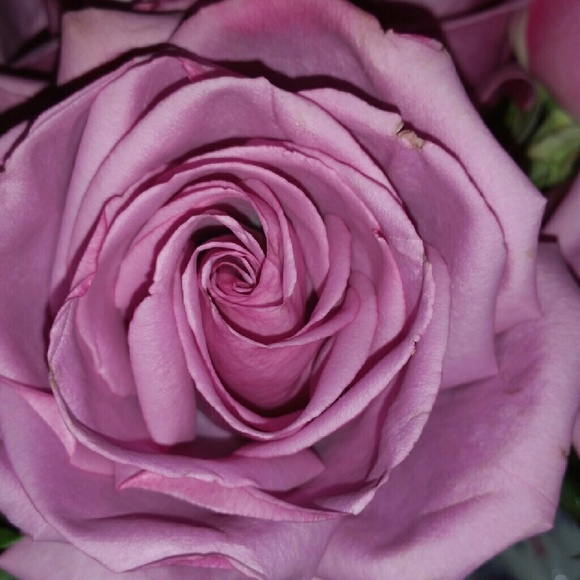 Profile Picture of Candacy Abrams (@candacya) on Poshmark