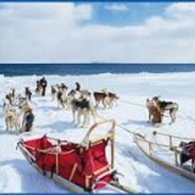 Profile Picture of Sharon Wright (@Cruise_Tour) on Twitter