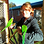 Profile Picture of Jessica Bray (@jess bray) on Flickr