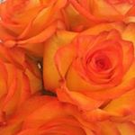 Profile Picture of Teresa Branch (@cme4reel) on Instagram