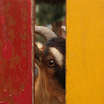 Tran Tuyen - Flickr Profile Picture of Tran Tuyen (@tuyenthientai) on Flickr