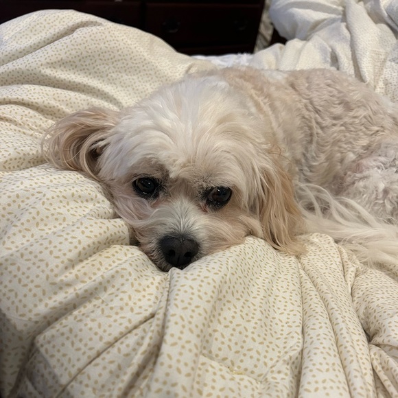 Profile Picture of Micah Spick (@micahspickerman) on Poshmark