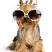 Profile Picture of Ronald Jeffries (@jeffries1690) on Pinterest